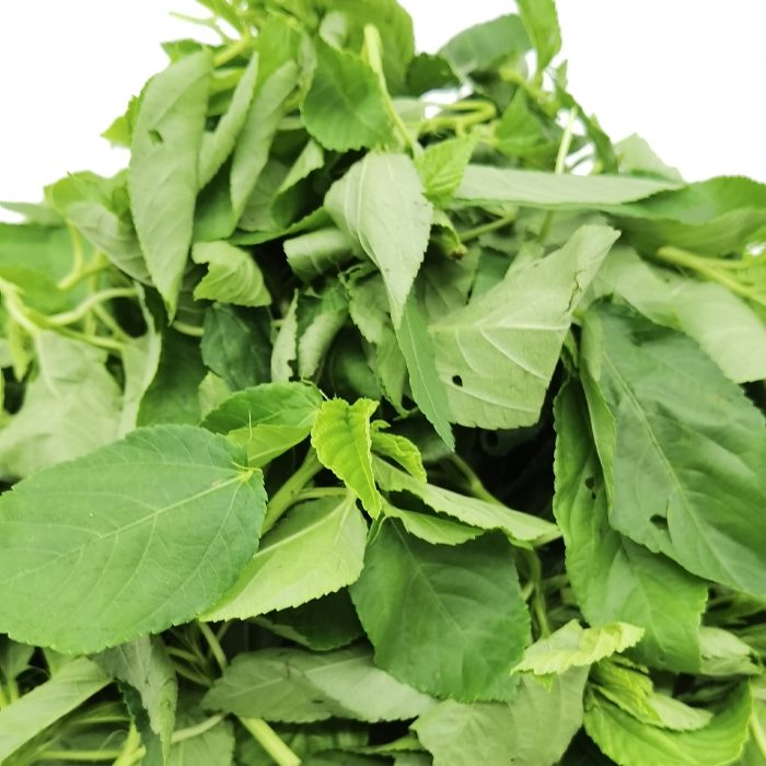 Fresh Adémè – Fresh Ewedu 1Kg — African food wholesaler AFD44